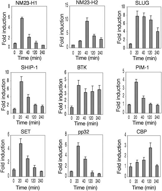 Figure 6. Genes expressed in Flk-1-positive endothelial precursors are induced by VEGF-A in HUVECs. Time-course analysis of the human orthologues of the mouse genes as in Figure 3, as indicated. Vertical bars for each transcript, as indicated, measure the fold induction at the time indicated. Induction analysis was performed with RT-PCR and normalized on GAPDH expression. The data shown are the results of 3 independent experiments.