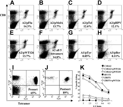 Figure 2. Identification of pan-A2-alloreactive T cells and tetramer sorting of allo-restricted, WT1-specific CTLs. (A-H) PBMCs of an HLA-A2- donor were stimulated 6 times in vitro with autologous B lymphocytes coated with A2/pWT126 monomers and stained with FITC-labeled antihuman CD8 antibodies and PE-labeled A2 tetramers containing the peptide epitopes indicated in each panel. (F) The FACS profile of a sample stained simultaneously with all 5 A2 tetramers is shown. (G, H) The FACS profile after staining with HLA-A1 and HLA-A3 tetramers, respectively, is shown. (I-K) FACS profile of a bulk CTL line established from an HLA-A2- donor after 7 rounds of stimulation with A2/pWT126 monomers followed by nonspecific expansion with CD3/CD28 beads and IL-2. Cells were stained with APC-labeled antihuman CD8 antibodies and PE-labeled A2/pWT126 tetramers before (I) and after (J) FACS sorting of CD8+ tetramer-positive T cells. The tetramer-positive cells did not bind A2 tetramers containing control peptides. (K) Killing activity of sorted CD8+ tetramer-positive CTLs against A2+ WT1+ leukemia cells (BV173), A2+ WT1- breast cancer cells (ZR571), and EBV-transformed C1R-A2 cells coated with pWT126 peptides. Uncoated cells and cells coated with the A2-binding pWT235 peptide were used as control.