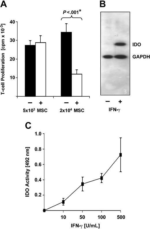 Figure 1. Human MSCs inhibit allogeneic T-cell responses and express IDO. (A) Human MSCs inhibit allogeneic T-cell responses in a dose-dependent manner. Responding T cells (1 × 105) were incubated for 5 days with 5 × 104 allogeneic PBMCs as stimulator cells in the presence (+) or absence (-) of 5 × 103 or 2 × 104 human MSCs. Each experiment was performed in triplicate. T-cell proliferation is expressed as averaged means of triplicates ± SEM obtained from a series of 11 experiments with 5 × 103 MSCs from 7 different donors and 7 experiments with 2 × 104 MSCs from 6 different donors. *P value of difference as calculated by Student t test. (B) Human MSCs express IDO protein upon stimulation with IFN-γ. MSCs were cultured in the absence (-) or presence (+) of 500 U/mL IFN-γ. After 3 days, cells were harvested and subjected to Western blot analysis using an IDO-specific monoclonal antibody. As a control, expression of glyceraldehyde 3-phosphate dehydrogenase (GAPDH) was analyzed in parallel. (C) Human MSCs express functional IDO activity upon stimulation with IFN-γ. MSCs (2 × 104) were stimulated with increasing amounts of IFN-γ. After 3 days of culture, supernatant was harvested and IDO activity was measured by determining kynurenine concentration as absorbance (OD) at 492 nm. Background OD (approximately 0.15) was subtracted. Data obtained from 4 independent experiments each using MSCs from different individual donors are presented as mean OD ± SEM.