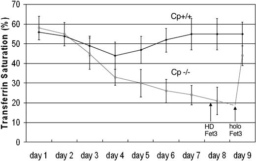 Figure 1. Injection of soluble Fet3p increases transferrin saturation in aceruloplasminemic mice. Both normal mice (Cp+/Cp+) and mice with a targeted deletion in the ceruloplasmin gene (Cp-/Cp-) were bled via daily phlebotomy, and plasma iron and transferrin saturation was measured. Aceruloplasminemic (Cp-/Cp-) mice were injected on day 8 with heat-denatured Fet3p (HD Fet3). On day 9, the same mice were injected with active Fet3p, and blood samples were obtained 1 hour later and transferrin saturation determined (mean and standard deviation).