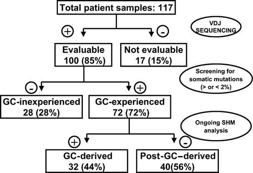 Figure 3. Experimental strategy for defining histopathogenesis of samples according to GC origin.