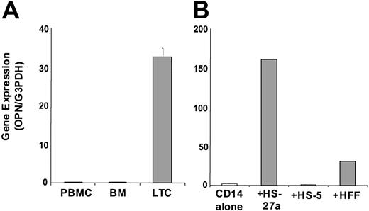 Figure 4. OPN gene expression in PBMC, primary stroma, and stromal cell lines. (A) Total RNA was immediately isolated from peripheral blood mononuclear cells (PBMCs) and the buffy coat layer of normal bone marrow cells (BM). Remaining cells from the buffy coat were cultured for 2 to 3 weeks to establish primary LTCs, which contain both stroma and macrophages, at which time total RNA from the LTCs was isolated. OPN gene expression was determined by a Syber Green assay. (B) CD14+ cells (0.2 × 106 cells) were cultured alone or cocultured with 0.4 × 106 cells of HS-27a, HS-5, or human foreskin fibroblasts (HFFs) for 3 days. Total RNA of nonadherent CD14+ cells was harvested, and OPN gene expression was measured. The data represent the average ± SD for at least 2 samples.