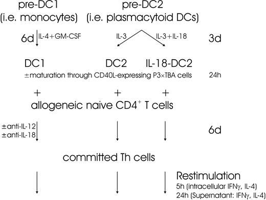 Figure 1. Experimental design.