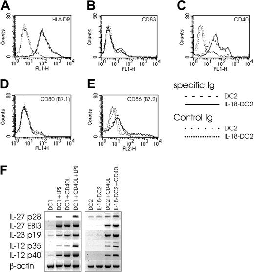 Figure 8. Effect of IL-18 on DC2 phenotype. (A-E) FACS surface analysis of DC2s and IL-18–DC2s. DC2s were obtained by culture of pre-DC2s with IL-3 (DC2) or IL-3 plus IL-18 (IL-18–DC2) for 3 days, and stained with indicated antibodies. Surface expression on DC2s is compared with IL-18–DC2s. (F) IL-27, IL-23, and IL-12 mRNA expression in DC1s and DC2s. DC1s were obtained by culture of monocytes for 6 days in the presence of IL-4 and GM-CSF (DC1) and further stimulated with LPS (1 μg/mL) and CD40L-expressing irradiated P3 × TBA7 cells (+CD40L) as indicated. DC2s were derived from plasmacytoid DCs by culture with IL-3 (DC2), or IL-3 plus IL-18 (IL-18–DC2) for 3 days, and further matured as indicated by addition of CD40L-expressing irradiated P3 × TBA7 cells (+ CD40L). Messenger RNA expression of IL-27 (consisting of p28 and EBI3 chains), IL-23 (p19 and IL-12 p40), and IL-12 (p35 and p40) was analyzed by PCR as outlined in “Materials and methods.” Control amplification was performed for β-actin. This figure is representative of 4 independent experiments.