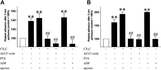 Figure 3. Effect of fractalkine on platelet adhesion to collagen. Firm adhesion of washed human platelets to collagen was assessed in a flow chamber model under high (A) and low (B) shear following stimulation with rhCX3C (1 μg/mL) or ADP (5 μM) in the presence or absence of apyrase (7.5 U/mL). The proadhesive effect was blocked by preincubation with an antagonizing antibody against fractalkine (AF537; 100 μg/mL; 30 min) as well as by disruption of CX3CR1-mediated signaling with PTX (0.4 nM; 45 min). Data are expressed as the ratio of adhering platelets to the control group (□) ± SEM from at least 5 separate experiments. **P < .01 versus control; ##P < .01 versus stimulation.