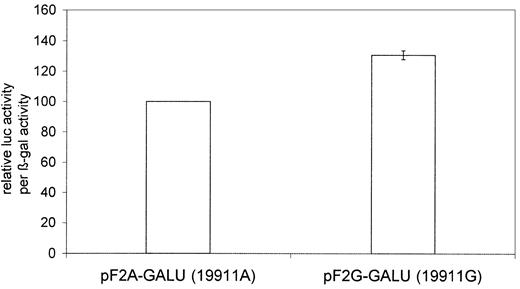 Figure 6. The intronic 19911A>G polymorphism affects splicing. Clones containing the 19911G base have an on average 31% higher ratio of spliced mRNA compared with those containing the 19911A base (P < .05) as judged by their relative luciferase (luc) activity per β-galactosidase (β-gal) activity output. There were 6 experiments performed in duplicate. Error bars represent the standard error of mean. The left column is used for normalization and has no error bar.