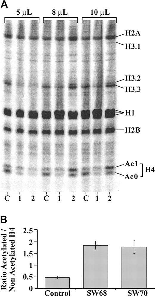 Figure 4. Effects on histone acetylation. (A) Electrophoretic separation of histones isolated from GM979 cells treated with 15 μM compound SW68 (lanes marked 1), 15 μM compound SW70 (lanes marked 2), or control GM979 cells cultured in the absence of HDAC inhibitors (lanes marked C). Histone preparations (5 μL, 8 μL, or 10 μL) were loaded to the gels. (B) Ratio of acetylated to nonacetylated histone H4. Notice that SW68 and SW70 increase the ratio by at least 3-fold. Error bars indicate SD.