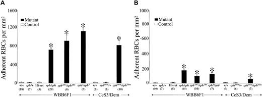 Figure 1. Increased adhesion of murine HS/HE RBCs to thrombospondin (TSP) and laminin (LM). Washed RBCs from control (WBB6F1-+/+ and -sph/+; CcS3/Dem-+/+ and -sphDem/+), elevated reticulocyte control (WBB6F1 Hi-ret), and mutant (severe HS: WBB6F1-sph/sph, -sph2BC/sph2BC, and -sphJ/sphJ; severe HE: CcS3/Dem-sphDem/sphDem) mice were perfused through flow chambers previously coated (2 μg/cm2) with human TSP (A) or human LM (B) at a wall shear stress of 1 dyne/cm2. Adherent RBCs per unit area were counted by direct microscopic visualization as described in “Materials and methods.” Group/genotype is listed on x-axis just below bars; numbers of measurements per group are indicated in parentheses below genotype/group. Strain background for each group is indicated between horizontal arrows. Adherent RBCs/mm2 are depicted as mean ± SEM. *P < .001 versus +/+ values.
