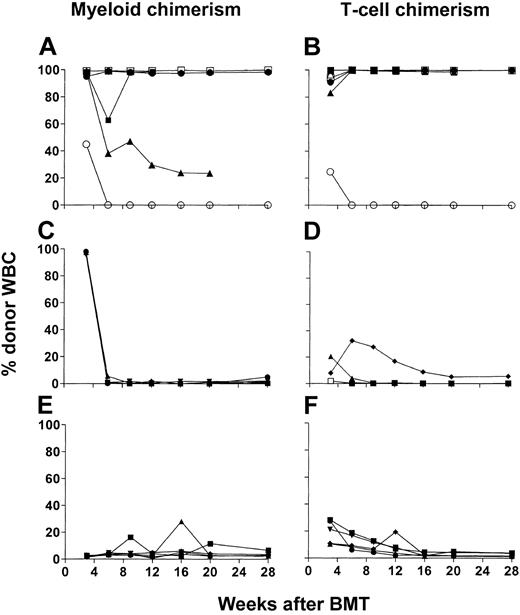 Figure 5. In vivo CD4 depletion of BMCs and DLIs administered on day 0 facilitate full donor myeloid and lymphoid engraftment. (A-F) Time course of individual MAC-1+ donor myeloid cell (left panels) and CD3+ donor T cell (right panels) chimerism in WBCs of B6 (H2b) mice treated with CTX 200 mg/kg on day –1 and 7 Gy thymic irradiation on day 0 followed by 15 × 106 BMCs and 10 × 106 SPCs on day 0 from B10.A (H2a) donor mice. Five days before BMT, recipients were given anti-CD4 mAb alone (n=6; A-B), anti-CD8 mAb alone (n=6; C-D), or anti-CD4 and anti-CD8 mAbs (n=5; E-F). Each line represents an individual animal in each panel. One of 2 experiments is presented.