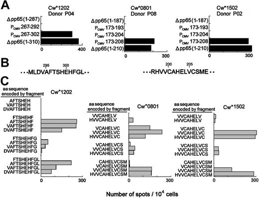 Figure 4. Identification of pp65-derived CTL epitopes for which a computer algorithm was not applicable. To narrow down the region containing the epitope, the linear expression fragments encoding further truncated forms of the deletion mutant, Δpp65(1-310) for HLA-Cw*1202 or Δpp65(1-210) for HLA-Cw*0801 and -Cw*1502, were generated and transfected into 293T cells together with restricting HLA cDNA. (A) Recognition by the pp65-specific CTL lines was evaluated 48 hours later by ELISPOT assay. (B) Amino acid sequence of pp65 around the defined region. (C) Based on the results shown in the upper panels, various linear expression fragments within the region were generated, transfected into 293T cells together with restricting HLA cDNA, and then tested for the recognition by corresponding pp65-specific CTL line using ELISPOT assay. Each bar represents the number of spots per 104 cells.