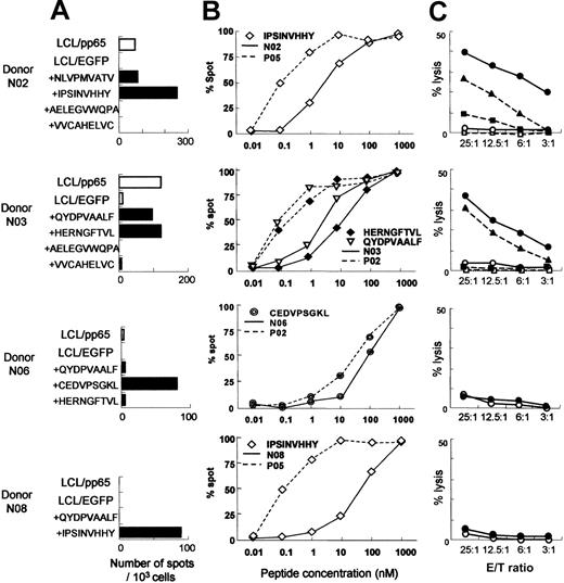 Figure 6. Effector cell activity of the T-cell lines generated from seronegative donors after stimulation with CD40-B cells pulsed with a mixture of antigenic peptides. CD8+ T cells from CMV-seronegative donors were stimulated 3 times with autologous CD40-B cells pulsed with a mixture of 2 to 4 peptides and tested for effector activity. CMVpp65-derived synthetic peptides used are listed in Table 3. The antigenicity of these peptides was proven in the experiments whose results are shown in Figure 5. (A) ELISPOT assay was conducted using LCL/pp65, LCL/EGFP (□), or LCL/EGFP pulsed with 1 μM of each peptide indicated (▪). Each bar represents the number of spots per 103 cells. (B) Peptide titration was conducted using LCL/EGFP pulsed with various concentrations of the peptides indicated by ELISPOT assay. Percent spot was calculated for individual T-cell lines by dividing the number of spots at indicated peptide concentrations by the maximal number of spots × 100%. (C) Cytolysis of CTL lines was assessed against autologous LCL/pp65 (•), LCL/EGFP (○), HLA-matched dermal fibroblasts infected with CMV supernatant (▪), with mock supernatant (□), or with 1 μM peptide mixture showing spots in the ELISPOT assay (▴) over a range of E/T ratios by 51Cr release assay.
