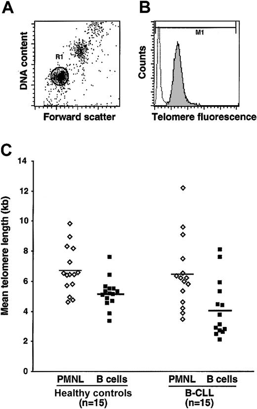 Figure 1. Comparisons of telomere lengths in B cells and PMNLs using Flow-FISH. (A) Region R1 identifies the B-cell and PMNL populations under study based on forward scatter. (B) Dotted open histogram represents background fluorescence of cells subjected to Flow-FISH in the absence of the telomere-specific PNA probe; the shaded histogram represents telomere-specific fluorescence of cells. The difference between the mean fluorescence intensity of cells stained with and without probe (as deduced from marker M1) yields mean telomere fluorescence and is used to calculate telomere length in kilobases (see “Patients, materials, and methods”). (C) Mean telomere lengths of paired PMNLs and B-cell populations in 15 B-CLL patients and 15 age-matched healthy donors. The differences in telomere lengths between PMNLs and B-cell populations from B-CLL patients were statistically significant (P < .01), whereas telomere lengths did not differ in B cells and PMNL populations from healthy subjects.