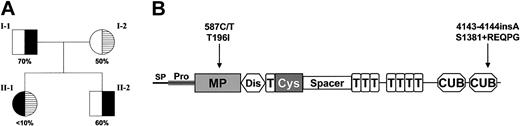 Figure 1. VWF-cleaving proteinase activity and ADAMTS13 mutations in a patient with congenital TTP. (A) The pedigree with the ADAMTS13 activity levels of the father (I-1), the mother (I-2), the patient (II-1), and the patient's brother (II-2). The values are expressed as a percentage of VWF-cleaving proteinase activity in normal pooled human plasma. (B) The 1427–amino acid precursor protein of ADAMTS13 contains a signal peptide (SP), a propeptide (Pro), a metalloprotease domain (MP), a disintegrin-like domain (Dis), a type-1 TSP module (T), a cysteine-rich (Cys) and spacer domain, 7 additional type-1 TSP modules, and 2 CUB (complement components C1r/C1s, sea urchin epidermal growth factor, and bone morphogenetic protein) domains. The mutation at Thr196Ile on exon 6 is positioned within the metalloprotease domain and the mutation after Ser1381 truncates the second CUB domain of the protein.