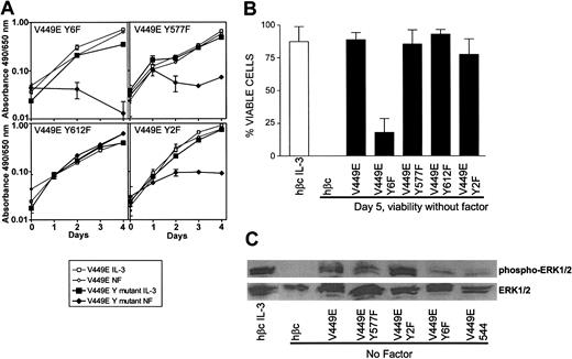 Figure 4. Effects of V449E cytoplasmic tyrosine mutants on factor-independent growth and viability. (A) Growth without factor (diamonds) is shown compared with growth with the control cytokine IL-3 (squares). Results representative of at least 3 independent experiments are shown. Error bars represent the SD of triplicate samples. (B) Viability of cells without factor at day 5 after factor withdrawal. Cell viability was determined by trypan blue exclusion, and the combined results of at least 3 independent experiments are shown. Error bars represent the SD of at least 3 independent experiments. (C) Constitutive activation of ERK1/2. Lysates were made from FDB1 cells expressing mutant receptors and were blotted for phospho-ERK1/2 and total ERK1/2 as described in “Materials and methods.”