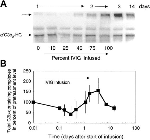 Figure 5. Total C3b-containing complexes in plasma of ADM and DM patients treated with 2 g IVIG/kg body weight. Plasma samples were drawn during IVIG infusion (percent infused IgG is listed during day 1 and 2) and at the days indicated. Plasma samples were denatured within 75 seconds from collection. Plasma samples were electrophoresed, blotted, and incubated with labeled mAb H206. Autoradiographs from blots are shown (A) and were quantified from the first cycle of treatment of 4 patients (B). (A) The major band in pretreatment plasma—α′C3b2-HC, representing the reduced form of C3b2-IgG—is marked. The unlabeled dashed arrow points to the high–molecular-weight C3b-containing complexes appearing after infusion of IVIG. (B) Total C3b-containing complexes comprised label in all complexes above α′C3 to the beginning of the stacking gel. Data are expressed in percent of the pretreatment values (mean ± 1 SD).