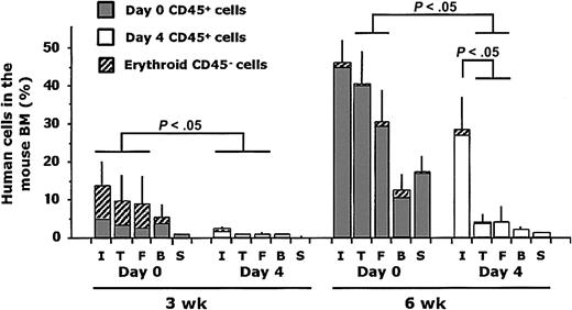 Figure 5. Human cell engraftment following intrafemoral delivery of noncultured and cultured cells. Human engraftment was measured at 3 and 6 weeks after transplantation as the percentage of nonerythroid CD45+ (▤, □) plus erythroid CD45–CD36+ (▨) human cells in the injected right femur (I), the right tibia (T), the left femur (F), the blood (B), and the spleen (S). Each bar represents the mean data (± SE) from the mice given transplants of day-0 (n = 24) or day-4 cells (n = 24) from 4 experiments.