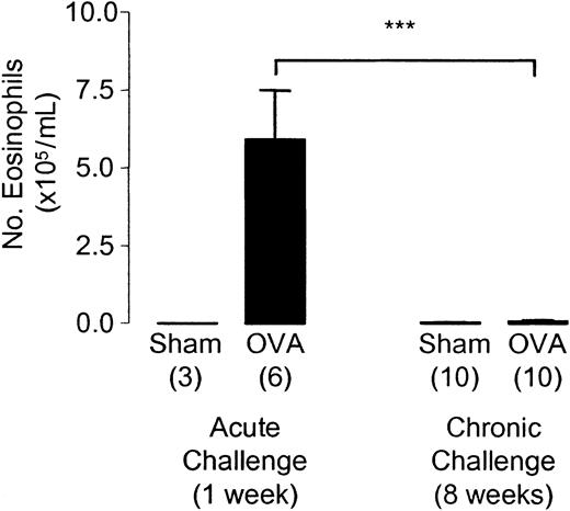 Figure 3. Pulmonary leukocyte recruitment after chronic allergen challenge. BAL fluid was taken 24 hours after the start of the last day of challenge in week 1 and week 8 of allergen exposure. Each bar represents the mean and vertical lines the standard error of the mean. Values in parentheses indicate the number of animals per group. ***P < .001 between selected groups.