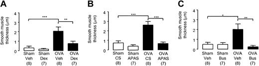 Figure 6. Smooth-muscle thickness in the distal airways of chronically challenged mice. Selected groups of mice were administered (A) dexamethasone (2 mg/kg intraperitoneally thrice weekly before each day of exposure), (B) APAS (0.1 mL undiluted, intramuscularly twice weekly), (C) busulfan (25 mg/kg intraperitoneally once fortnightly). Lungs were collected 24 hours after the last challenge in week 8. Each bar represents the mean and vertical lines the standard error of the mean. Values in parentheses indicate number of animals per group. *P < .05, **P < .01, and ***P < .001 between selected groups.