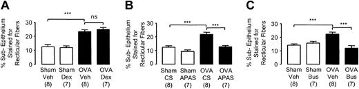 Figure 7. Subepithelial reticular fiber deposition in the distal airways of chronically challenged mice. Selected groups of mice were administered (A) dexamethasone (2 mg/kg intraperitoneally thrice weekly before each day of exposure), (B) APAS (0.1 mL undiluted, intramuscularly thrice weekly), or (C) busulfan (25 mg/kg intraperitoneally once fortnightly). Lungs were collected 24 hours after the last challenge in week 8. Each bar represents the mean and vertical lines the standard error of the mean. Values in parentheses indicate number of animals per group. ***P < .001 between selected groups (ns indicates no significance).