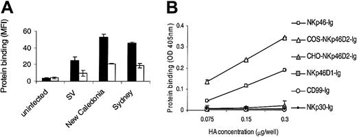 Figure 4. Impaired sialylation of NKp46D2-Ig in CHO cells significantly reduces HA binding. (A) 721.221 cells were infected with SV, human influenza A virus H1N1 (New Caledonia), and H3N2 (Sydney). Infected cells were stained with NKp46D2-Ig produced in either COS (▪) or CHO (□) cells followed by PE-conjugated goat antihuman Fc. Figure shows one representative experiment of 3 performed. (B) ELISA plates were coated with various concentrations of HA rosettes ranging from 0.075 μg/well to 0.3 μg/well as indicated, followed by incubation with 0.2 μg of the relevant fusion protein. Bound proteins were detected using AP-conjugated second mAb. Shown is one representative experiment of 2 performed.