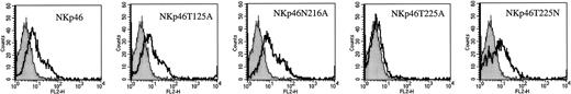 Figure 8. Thr225 of NKp46 is crucial for the recognition of tumor cells by NKp46. 1106mel cells were stained with the wild-type NKp46-Ig or with the sugar-mutated forms NKp46T125A, NKp46N216A, NKp46T225A, or NKp46T225N, followed by PE-conjugated goat antihuman Fc. Gray histograms represent the background staining of PE-conjugated goat antihuman Fc. Open histograms represent fusion protein staining. Figure shows one representative experiment of 4 performed.