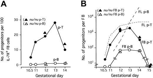 Figure 3. Preferential circulation of p-Ts in early fetuses. (A) Frequency of p-Ts and p-Bs in the IL-7R+ population from the FL and FB of various days of gestation. Single cells of the Lin–c-kit+IL-7R+ population from FB between 10.5- to 14-dpc fetuses were cultured under MLP assay conditions. Numbers of p-Ts and p-Bs detected among 100 IL-7R+ cells at different days of gestation were plotted against the gestational age. Data for 12-dpc and 13-dpc IL-7R+ cells are from the experiments shown in Figure 2. Frequency of p-T (▴) and p-B (▵) in FB of athymic nude mice are also shown. (B) Total numbers of p-Ts and p-Bs in the IL-7R+ population from the FL and FB of various days of gestation. In calculating the number of progenitors per FB, the numbers and proportions of IL-7R+ cells in a fetus at 10.5- to 14-dpc shown in Figure 1 were used. For comparison, the numbers of p-Ts and p-Bs in the IL-7R+ population of FL at the same gestational ages are shown. Total numbers of p-T (▴) and p-B (▵) in FB of nude mice are also shown.