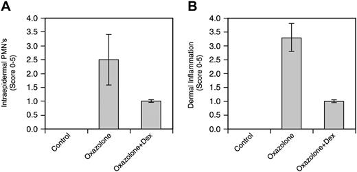 Figure 9. Evaluation of intraepidermal and dermal inflammation. (A) Epidermal accumulation of polymorphonuclear neutrophils (PMNs) and epidermal hyperplasia were quantified. Data are expressed as mean ± SE (n = 4). (B) Dermal PMNs, mast cells, and edema were quantified. Data are expressed as mean ± SE (n = 4).