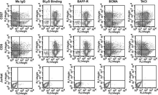 Figure 1. Expression of BCMA, TACI, and BAFF-R on peripheral blood B cells. Freshly isolated CD19+ normal B cells were stained with biotin-conjugated anti-TACI, anti–BAFF-R, anti-BCMA, or BLyS for 30 minutes on ice, washed, and incubated with RED670-streptavidin and CD27-PE (top row) or CD5-PE (middle row). Jurkat T cells stained with biotin-conjugated anti-TACI, anti–BAFF-R, and anti-BCMA followed by PE-streptavidin served as negative controls (bottom row). Isotype and fluorochrome controls were done for each sample.