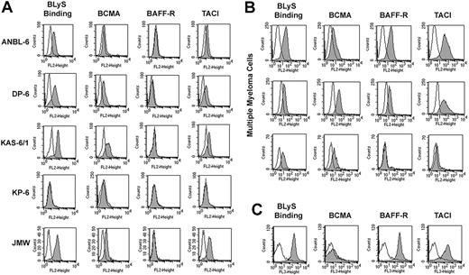 Figure 2. Expression of BCMA, TACI, and BAFF-R on MM cells. (A) MM cell lines ANBL-6, DP-6, KAS-6/1, KP6, and JMW were stained with biotin-conjugated anti-TACI, anti–BAFF-R, anti-BCMA, or BLyS (gray histograms) for 30 minutes on ice, washed, and incubated with PE-streptavidin. Isotype and fluorochrome controls were done for each sample (open histograms). (B-C) CD138+ human MM cells (B) and CD19+/CD27+ memory B cells (C) were stained and analyzed as described for panel A..