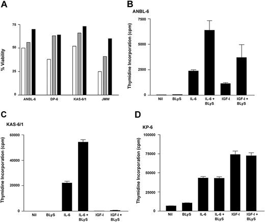 Figure 3. BLyS promotes survival and proliferation of MM cells. (A) MM cells were cultured in RPMI plus 0.5% BSA alone (□) or with the addition of 0.1 μg/mL BLyS (▤) or 1 ng/mL IL-6 (▪), and cell viability was determined after 7 days. A minimum of 500 cells was counted for each condition. (B-D) MM cells were cultured in 96-well flatbottom microtiter plates in the presence of 1 ng/mL IL-6, 10 ng/mL IGF-I, 0.1 μg/mL BLyS, alone or in combination for 7 days at 37°C in the presence of 5% CO2. Values represent the mean of triplicate values of a representative experiment (n = 5).