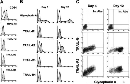 Figure 1. Surface expression of TRAIL receptors in erythroid cultures. Surface TRAIL receptor (TRAIL-R1, TRAIL-R2, TRAIL-R3, and TRAIL-R4) expression was evaluated by flow cytometry in CD34+ cells freshly purified (A) and in CD34+ cells cultured in the presence of EPO + IL-3 + SCF (B-C). In panels B-C, erythroid differentiation was monitored at 6 and 12 days of liquid culture by analysis of surface GPA expression. In panels A-B, shaded histograms represent cells stained with MoAbs specific for the indicated surface antigens (CD34, glycophorin A, TRAIL receptors), whereas unshaded histograms represent the background fluorescence obtained from the staining of the same cultures with isotype-matched control MoAbs. In panel C, surface TRAIL-R1 and TRAIL-R2 expression was analyzed in combination with surface glycophorin A at 6 and 12 days of culture. Horizontal axis indicates the relative surface glycophorin A expression detected by Cy-chrome fluorescence intensity. Vertical axis indicates the TRAIL-R1 or TRAIL-R2 expression detected by indirect PE fluorescence intensity. Representative negative controls, constituted by cells stained with irrelevant (Irr.) isotype-matched MoAbs, are shown in the top panels. A representative of 5 (A-B) and 3 (C) separate experiments is shown.