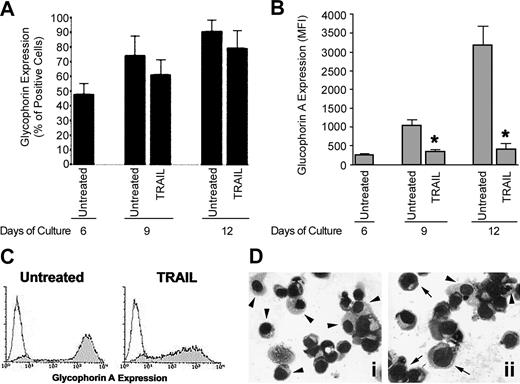 Figure 2. Effect of TRAIL on erythroid maturation. CD34+ cells were cultured in the presence of EPO + IL-3 + SCF for 6 days and then cells were either left untreated or treated with TRAIL. At the indicated times, cultures were analyzed for glycophorin A expression and cell morphology. In panels A-B, surface glyophorin A expression, reported either as percentage of positive cells (A) or as mean fluorescence intensity (MFI) (B), was measured by flow cytometry. Data represent the means ± SDs of 4 independent experiments performed in duplicate; *P < .01. In panels C-D, representative cell phenotype and cell morphology, examined on day 12 of culture by flow cytometry and by light microscopy after May-Grunwald-Giemsa staining, respectively, are shown. In panel D, some mature (arrowheads) and immature (arrows) erythroblasts are indicated in the untreated (i) and TRAIL-treated (ii) cultures. Original magnification, × 40. Similar results were observed in 3 independent experiments performed in duplicate.
