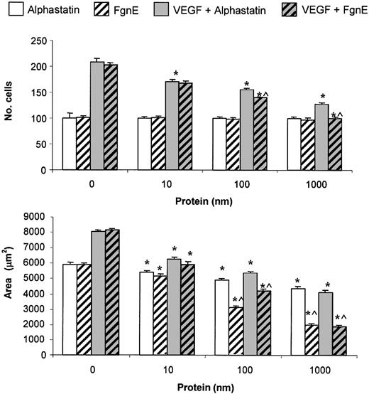 Figure 3. Comparison of the in vitro effects of alphastatin and FgnE. (A) HuDMEC migration across a collagen-coated filter in response to medium alone or medium containing 10 ng/mL VEGF. (B) Tubule formation by HuDMECs on GF-reduced Matrigel in response to medium alone (control) or medium containing 10 ng/mL VEGF. All data shown are means ± SEM. *P < .02 compared with respective “no protein” groups. ^P < .05 compared with respective alphastatin groups.