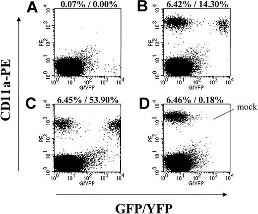 Figure 1. Engraftment of lentivirus-transduced EGFP/EYFP-expressing baboon CD34-enriched cells in NOD/SCID mice. Displayed are representative flow cytometry data from mice that received transplants in parallel with the autologous baboon transplants. Forward-scatter/side-scatter (FSC/SSC) gating to exclude debris and propidium iodide (PI) gating to exclude dead cells was applied to all plots. (A) Isotype control staining of a mouse that received a transplant of EGFP-expressing lentivirustransduced A00074 cells (MOI 10) showing GFP-positive events in the lower right quadrant. (B) CD11a-PE staining of the same mouse in panel A showing engraftment of transduced and nontransduced baboon cells. (C) CD11a-PE staining of a mouse that received a transplant of EYFP-expressing lentivirus-transduced A00083 cells (all growth factors). (D) CD11a-PE staining of a mouse that received a transplant of mock-transduced A00074 cells. Given are the percent engraftment (ie, % CD11a+) and the percent of CD11a+ cells expressing EGFP/EYFP.