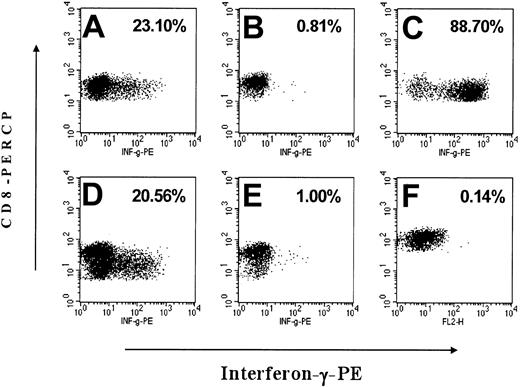 Figure 4. Interferon-γ release of CD8+ T lymphocytes in response to EYFP antigen. After a 7- to 15-day in vitro stimulation with irradiated, autologous EYFP-positive CD34-enriched bone marrow cells, FSC/SSC gated, CD8+ events were analyzed by flow cytometry for their expression of interferon-γ (IFN-γ) after exposure to mock-transduced or EYFP-transduced autologous targets with the percent of CD8+ cells positive for IFN-γ indicated in the upper right of the plots. Exposure to PMA/ionomycin was used as a positive control for IFN-γ production. (A) M99149 PBMCs exposed to EYFP+ antigen presenting cells (APCs), (B) M99149 PBMCs exposed to mock-transduced APCs, (C) M99149 PBMCs treated with PMA/ionomycin, (D) M00067 PBMCs exposed to EYFP-positive APCs, (E) M00067 PBMCs exposed to mock-transduced APCs, (F) tolerant control animal M99267 PBMCs exposed to EYFP-positive APCs.