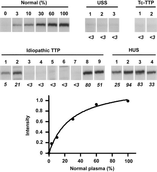 Figure 5. Cleavage of GST-VWF73-H by patients' plasma. GST-VWF73-H was incubated with serially diluted normal plasma (0%-100%) or with plasma from patients with USS, ticlopidine-associated TTP (Tc-TTP), idiopathic TTP, and HUS. The band intensities of reaction products were measured by chemiluminescence on Western blot, and the relative activities of patients' plasma (%, shown by italic numbers) to normal plasma were calculated from nonlinear regression by serially diluted normal plasma. USS patients 1 to 3 correspond to ST-III-4, SY-III-1, and KI-III-2 by previous report.2 Tc-TTP patients 1 and 2 were reported by Sugio et al35 and Orimo et al,36 respectively. The idiopathic TTP patients 1 to 9 correspond to the case numbers 1-3, 5, 6, 11-13, and 17, and HUS patients 1 to 4 correspond to the case numbers 2, 4, 6, and 9 in the previous report.37