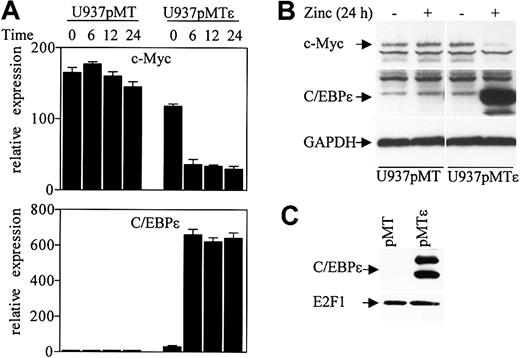 Figure 7. C/EBPϵ represses c-Myc expression. (A) U937 cells stably transfected with either empty vector (pMT) or an inducible C/EBPϵ vector (pMTϵ) were treated with zinc for the indicated times. cDNA from these cells was used for real-time RT-PCR with c-Myc, C/EBPϵ, and 18S specific primers. The results are expressed in arbitrary units as a ratio of either c-Myc or C/EBPϵ transcripts/18S transcripts (each value represents the mean of 3 independent measurements of the sample). (B) Stably transfected U937 cells (pMT, empty vector, and pMTϵ, inducible-C/EBPϵ) were incubated either without (–) or with (+) zinc for 24 hours, followed by Western blot analysis with a c-Myc antibody. The blot was stripped and rehybridized sequentially with C/EBPϵ antibody and GAPDH antibodies. (C) Protein lysates were made from U937 cells stably transfected with empty vector (pMT) and U937 cells stably transfected with an inducible C/EBPϵ vector (pMTϵ) following 24 hours of exposure to zinc. Lysates were immunoprecipitated with an E2F1 antibody followed by Western analysis with a C/EBPϵ antibody. The blot was stripped and rehybridized with an E2F1 antibody.