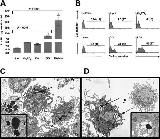 Figure 1. Gene gun transfection induces high transgene expression by DCs compared with other naked DNA transfection methods. (A) Luciferase expression by DCs after transfection with naked DNA using lipofection (Lipof), Ca2PO4, electroporation (Elec), or gene gun (GG), or after infection with rAd-Luciferase (rAd-Luc). Although rAd-Luc induces the highest luciferase expression, highly significant expression is found with the gene gun compared with other nonviral methods used. Means ± 1 SD from 3 independent experiments are shown. *indicates P < .01. (B) Expression of cytoplasmic OVA by DCs transfected with different naked DNA methods or infected with rAd. Numbers in graphs are percentages of OVA-positive DCs and mean fluorescence intensity (MFI) (in parentheses). (C-D, insets) High transgene expression (OVA-TR+ DCs) correlated with the presence of gold particles (arrows) free in the cytosol of DCs (shot directly) (C). Transgene-negative DCs (OVA-TR– DCs) exhibited fewer gold particles inside membrane vesicles (likely acquired from the medium by endocytosis) (D). Panels C and D, TEM (original magnification × 3000; insets, original magnification × 14 000).
