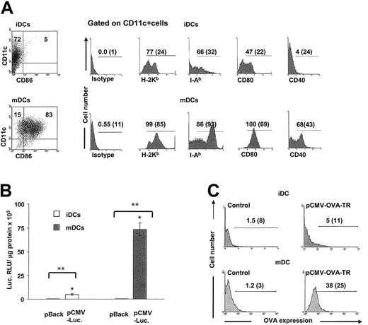 Figure 2. High transgene expression is mainly observed in the population of mature DCs. (A) Day-6 DCs were composed of CD11c+ CD86– (immature DCs) and CD11c+ CD86+ cells (mature DCs). The phenotype of purified immature DCs and mature DCs gated on CD11c+ cells is displayed. Numbers represent percentages of positive cells and MFI (between parentheses). Results from 1 of 10 representative experiments are shown. (B-C) Transgene expression in DCs is related to their maturation stage. (B) Luciferase expression in purified immature DCs or mature DCs shows that most of the transgenic luciferase was expressed in the population of mature DCs (P < .001). Negative controls are DCs transfected with plasmid backbone. Means ± 1 SD from 3 independent experiments are shown. * indicates P < .001; **, P < .0001. (C) Expression of OVA-TR is preferentially observed on the cell membranes of mature DCs. Numbers in graphs are percentages of OVA-positive DCs and MFI (between parentheses).