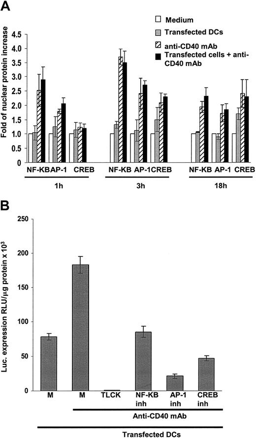 Figure 5. Signaling mature DCs through CD40 induces nuclear translocation of NF-κB, AP-1, and CREB. (A) One hour after incubation with agonist anti-CD40 mAb, mature DCs translocated NF-κB(P = .0004), and to a lower extent AP-1 (P < .0008), into their nuclei. The highest amounts of nuclear translocation factors occurred 3 hours after incubation with the agonist anti-CD40 mAb (P < .0001, P < .0005, and P < .001 for NF-κB, AP-1, and CREB, respectively). Transfection with gene gun did not induce translocation compared with untreated mature DCs, (P > .05) and signaling through CD40 induced nuclear translocation regardless of gene gun transfection (P > .05). Translocation of transcription factors was quantified by ELISA and expressed as -fold of protein increase versus untreated control cells. A value of 1 was set for untreated cells in each situation. Means ± 1 SD from 3 independent experiments are shown. (B) Specific inhibition of NF-κB, AP-1, and CREB resulted in significantly decreased transgene expression by CD40-signaled mature DCs (P < .0001). Controls included transfected mature DCs cultured in medium alone (M) or with anti-CD40 mAb or transfected mature DCs incubated with anti-CD40 mAb in the presence of the serine proteases blocking agent TLCK. Means ± 1 SD from 4 (A) or from 10 (B) independent experiments are shown. P < .0001.