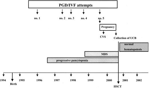 Figure 1. Progression of hematologic disease in the patient (bottom) and time course of 5 PGD/IVF attempts by her parents (top).