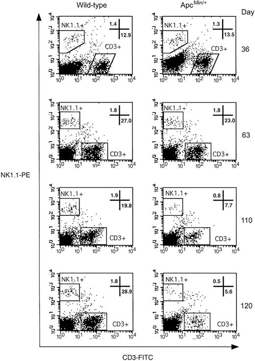 Figure 7. NK-cell depletion in the spleen of ApcMin/+ mice. Representative dot plots of lymphocyte-gated splenic cells stained with antibodies against mouse CD3 and NK1.1. NK cells are defined as the NK1.1+ CD3- population contained within the top left gate. The bottom right gate contains CD3+ T cells. Numbers indicate the percentage of lymphocytes that fall within the gates shown. Plots shown are representative of at least 3 different animals.