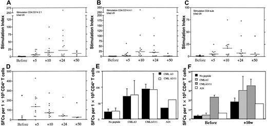 Figure 1. Immune responses after vaccination. (A-C) Unprimed ex vivo proliferation assays of fresh CD4+ T cells from vaccinated patients. The assays were conducted as described in “Patients, materials, and methods.” The number of weeks are shown on the x-axis. Before indicates before vaccination; +5, after 3 vaccinations; +10, after 5 vaccinations; +24, after 8 vaccinations; and +50, after 11 vaccinations. The stimulation index is shown on the y-axis. Panel A shows stimulation at a 2:1 ratio with b3a2 long peptide at 20 μg/mL; panel B, stimulation at 4:1 ratio with b3a2 long peptide at 20 μg/mL; and panel C, stimulation using total CD4+ cells and b3a2 at 20 μg/mL. Medians are shown as horizontal bars. (D) Interferon-gamma ELISPOT on CD4+ T cells from vaccinated patients at different time points (see panels A-C for the time points in weeks). (E-F) CD8+ interferon-gamma ELISPOT from vaccinated patients. Panel E shows patient 5 before immunization. Black bars show A3 peptide stimulation; white bars, A3/A11 peptide stimulation. The peptide with the APCs in the assay is shown on the x-axis. Panel F shows cells from patient 6 stimulated with CML-A3/A11 peptide before and after 5 immunizations. The peptide used with the APCs in the assay are as follows: black bars, no peptide; hatched bars, CML-A3 peptide; gray bars, CML-A3/A11; and white bars, A24 negative control. Error bars indicate SEM.