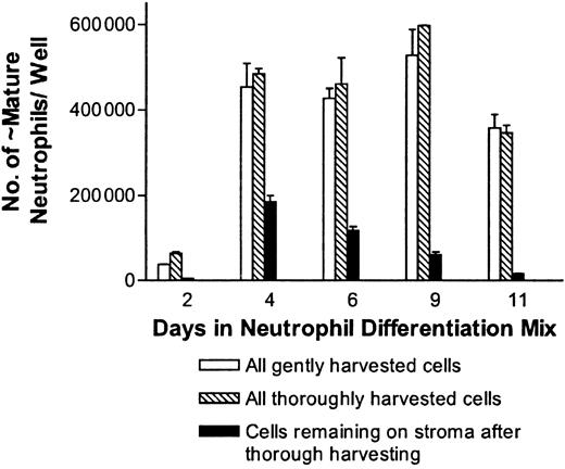 Figure 3. Effects of harvesting methods on neutrophil yields in the ES/OP9 coculture system. Cells from day 9 in the neutrophil differentiation mix were either gently or thoroughly harvested, as described in “Materials and methods,” at the indicated times. For this figure, the data are expressed as the total number of bands to polysegmented neutrophils recovered by gentle harvesting or by thorough harvesting. In addition, the number of cells remaining associated with the stroma after thorough harvesting is indicated. Error bars represent standard deviations.