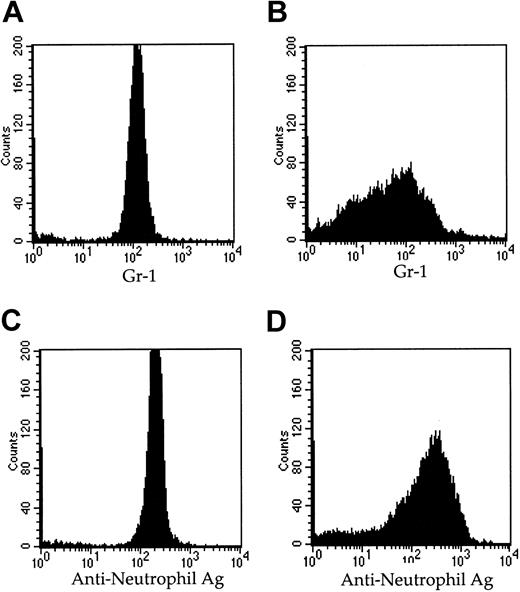 Figure 7. By FACS analysis, ES-derived neutrophils express the granulocyte-specific antigens, Gr-1, and the mouse neutrophil-specific antigen. For FACS analysis, 100 000 bone marrow (BM)– and ES-derived neutrophils were stained per well as described in “Materials and methods.” Panels A and C are of purified mature mouse bone marrow–derived neutrophils, while panels B and D are of ES-derived neutrophils harvested from day-9 cultures in the neutrophil differentiation mix. Histograms of FACS staining for Gr-1 and the neutrophil-specific antigens (Ag) are shown in A-B and C-D, respectively.
