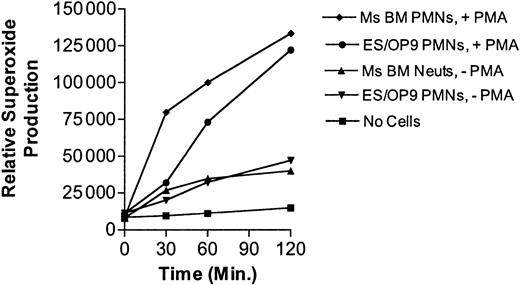 Figure 8. Comparison of superoxide production in bone marrow– and ES cell–derived neutrophils in response to 10 ng/mL PMA Amplex Red (Molecular Probes) was used to assess the production of hydrogen peroxide, which is a reflection of superoxide production. For this assay, 35 000 Amplex Red–loaded cells per well of a low adherence 96-well plate were used as described in “Materials and methods.” Error values were too low to resolve.
