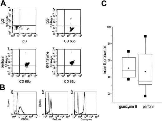 Figure 2. Presence of granzyme B and perforin in highly purified permeabilized PMNs as detected by cytofluorometry. (A) Saponin-permeabilized PMNs were incubated with an antibody to perforin or granzyme B. Next, a PE-conjugated antimouse IgG was added and after extensive washing an FITC-labelled antibody to CD666. On the top, the isotype controls are shown. (B) In another set of experiments, highly purified, saponin-permeabilized PMNs were incubated with antibodies to CD66b, perforin, or granzyme B; then, antimouse IgG-FITC was added (thick lines). The thin lines represent the isotype controls. (C) Expression of perforin and granzyme B was measured in 7 individuals; the data are summarized as box blots with the boxes containing 50% of the values. Horizontal bars represent the median; squares, the mean.