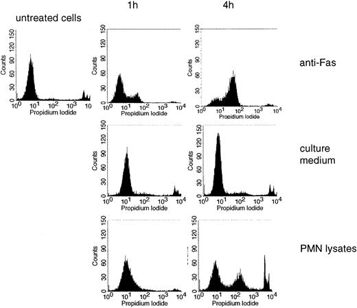 Figure 7. Induction of cell death by PMN lysates. PI incorporation was measured in untreated Jurkat cells and in cells treated with anti-Fas, culture medium, or lysates of PMNs for 1 or 4 hours.