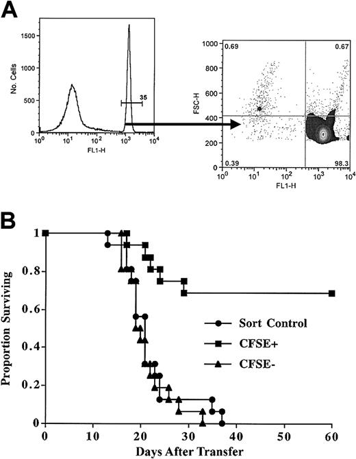 Figure 7. Sorted CFSEbright cells after MLR have reduced ability to mediate GVHD. Purified murine CD4+ T cells were stimulated with T-cell- and NK cell-depleted MHC class II disparate splenocytes. After 8 days of culture, viable cells were analyzed. (A) MLR cultured cells were analyzed for intensity of CFSE staining; 65% of the cells were blasts, and a precursor frequency of approximately 3% was calculated. The CFSEbright gate was the sole parameter for sorting. Postsort evaluation reveals cells are markedly depleted of primed CFSEdim cells. Results were typically more than 98% purity. (B) Sorted CFSEbright T cells have much reduced GVHD-causing potential. After culture, the CFSEbright or CFSEdim cells were sorted, and 3 × 105 were transplanted. Results are from 2 pooled experiments. Mean survival times were as follows: sorted control, 20 days; CFSEdim cells, 21 days; and CFSEbright cells, more than 60 days (not reached). Comparison of CFSEbright versus sort control was very significant (P < .0003).