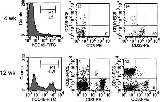 Figure 2. Representative flow cytometric analysis of peripheral blood from NOG mice after HSC transplantation. Four weeks after the transplantation, less than 2% of the cells were human CD45, in which CD33+ myeloid cells were predominant, and CD19+ B cells and CD56+ NK cells were also present. Twelve weeks after the transplantation, more than 40% cells were replaced by human CD45+ cells, among which abundant human CD3+ T cells were identified.